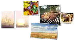 Pampa BBQ - Restaurant Saugnac-et-Cambran - restaurant DAX